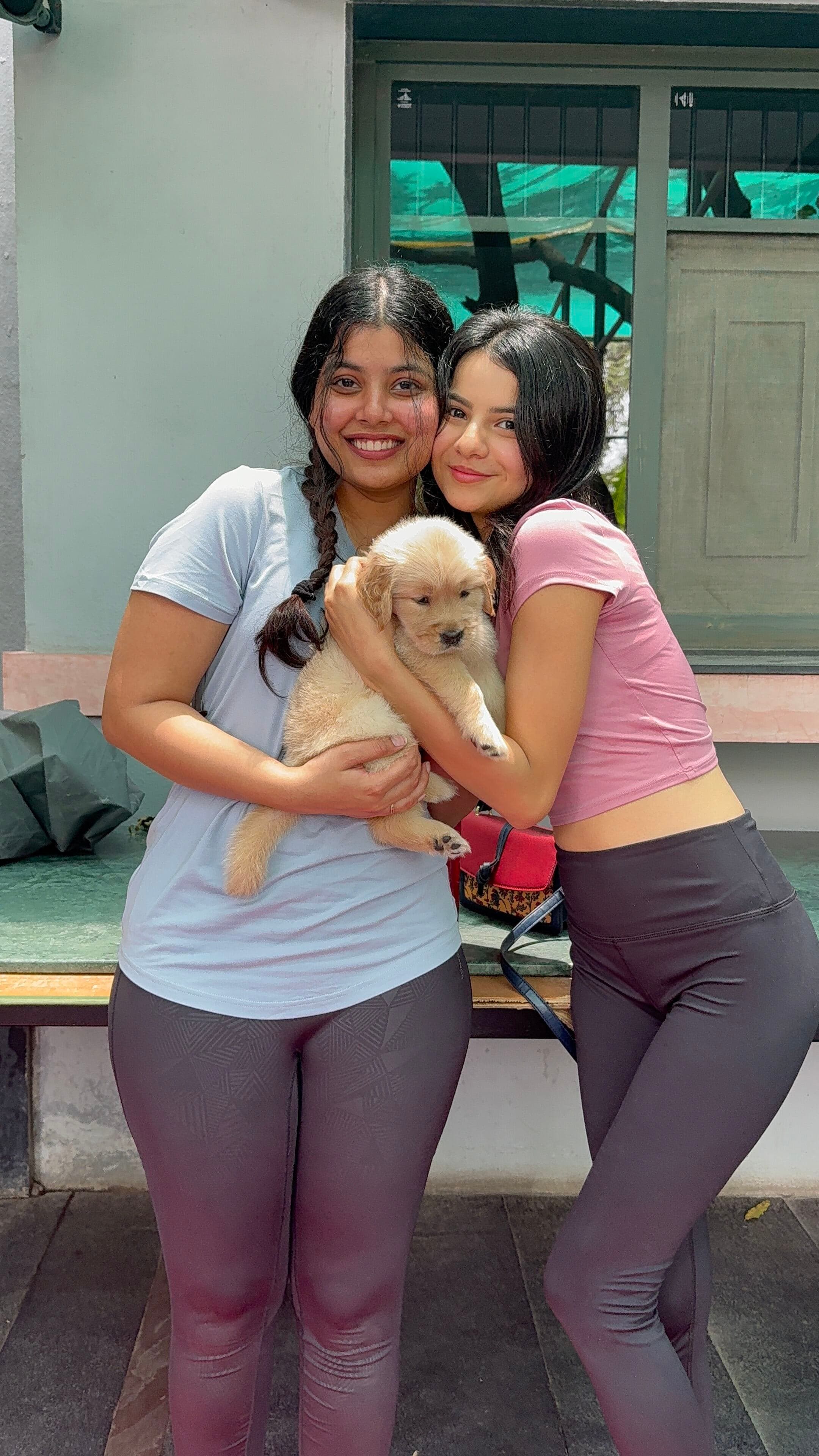 A pawfect reset puppy yoga at navika | Slide 1