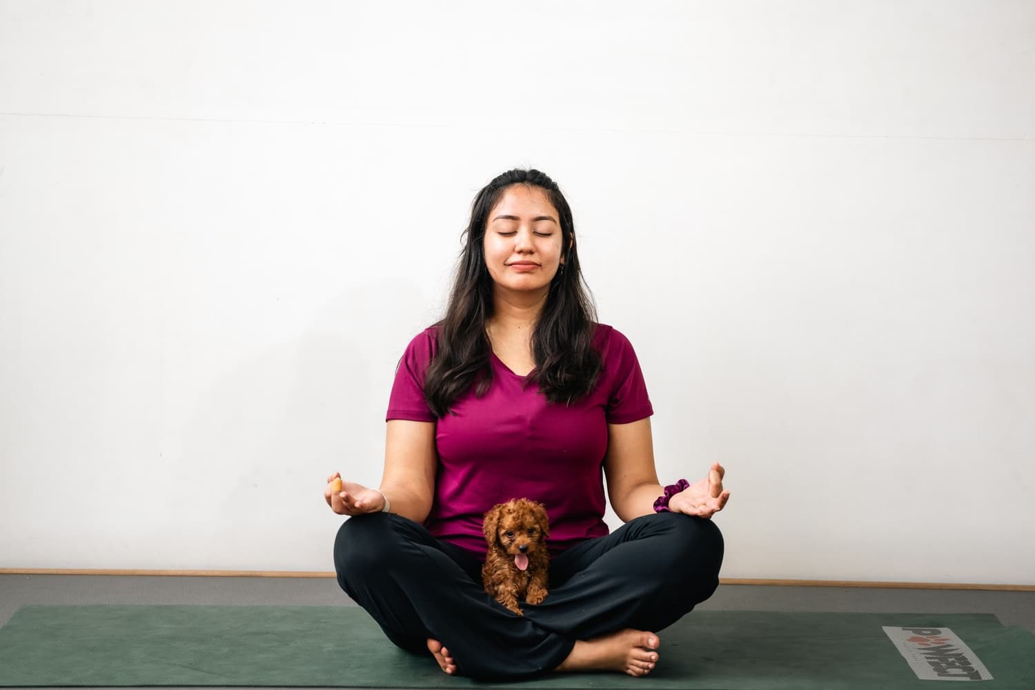PUPPY YOGA BANGALORE | Slide 1